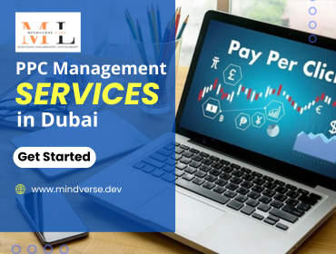 PPC Management Services in Dubai