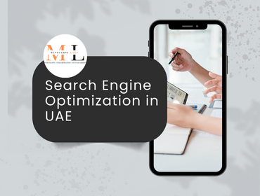 Search Engine Optimization in UAE