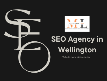 SEO Agency in Wellington